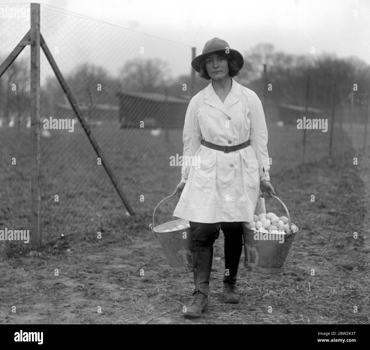 Eier von den Pflütigen auf der Great Eastern Poultry Farm bei Bentley. Februar 1920 Stockfoto
