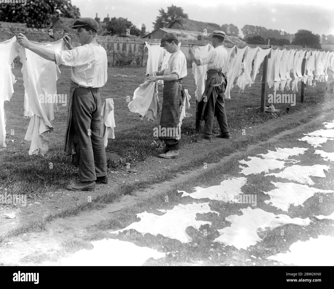 Handschuhherstellung Bei Witney. Feldarbeit - Vorbereitung und Bleichung von Häuten . [Kein Datum] Stockfoto