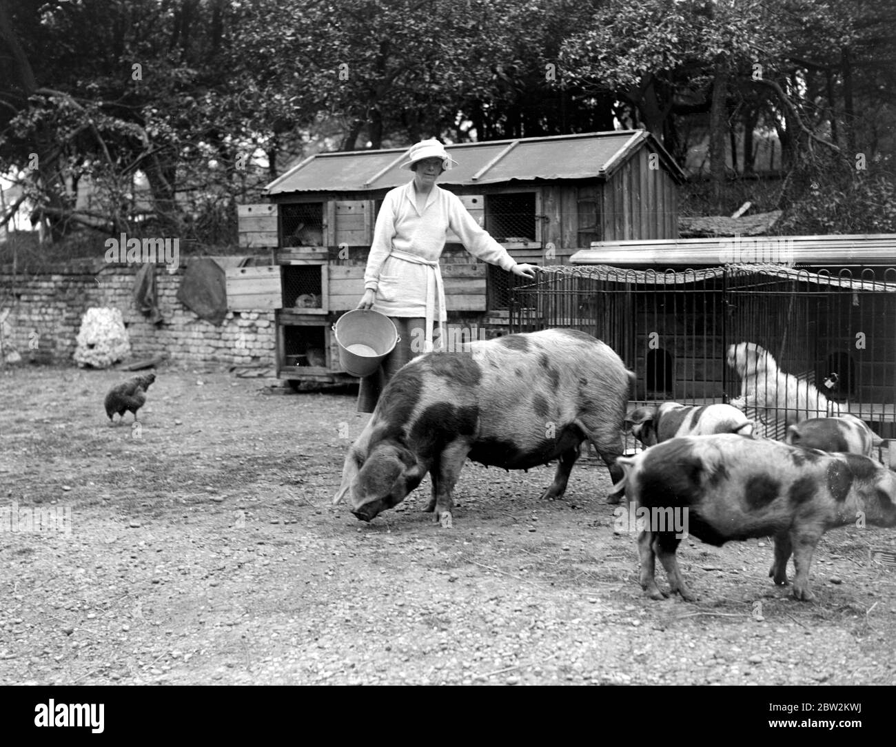 Lady Angela Forbes auf ihrer Silbernen Abzeichen Farm für behinderte Soldaten in Brentwood . 27 Juni 1919 Stockfoto