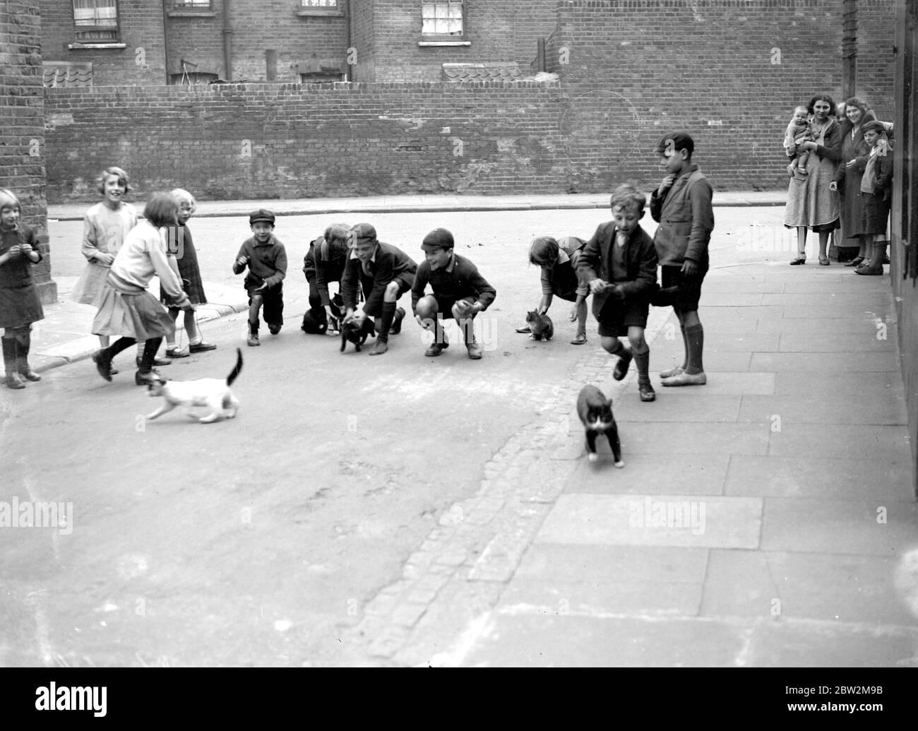 Kinder spielen auf der Straße mit streunenden Katzen. 1933 Stockfoto
