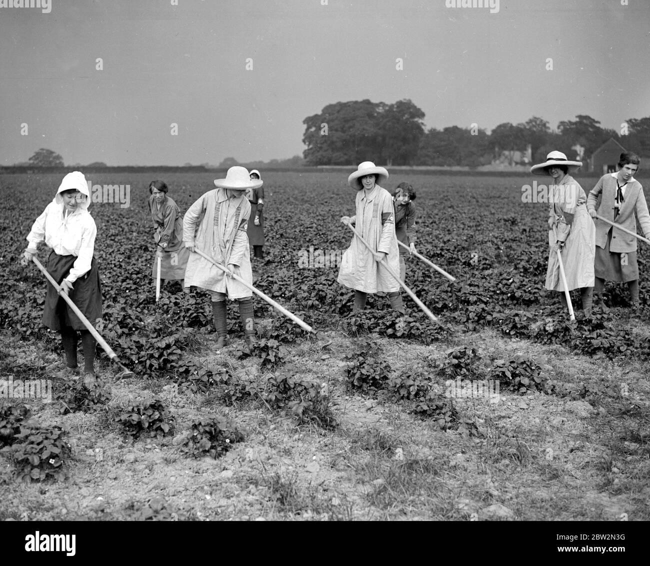 Die erste Partei der weiblichen Obstpflücker, die vom Nationalen Landrat in Evesham ausgesandt wurde. 1914-1918 Stockfoto