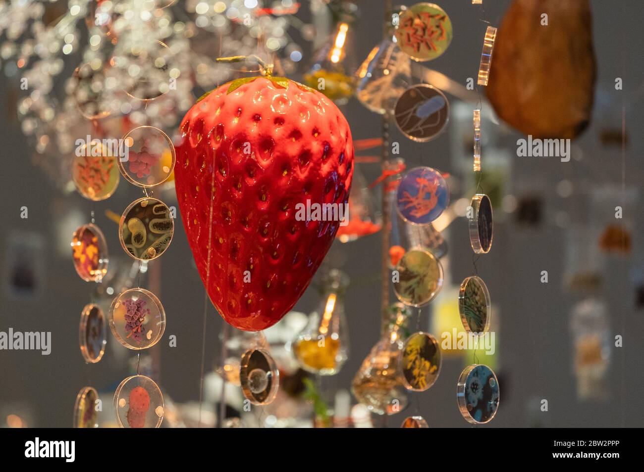 Dresden, Deutschland. Mai 2020. Eine Plastikerdbeere hängt über einem Festtisch in der Ausstellung "Future Food - Eating for the World of Tomorrow" im Deutschen Hygiene Museum. In drei Kapiteln wird der Weg von pflanzlicher und tierischer Nahrung vom Stall zum Teller in realen Raumsituationen gezeigt. Die Ausstellung läuft vom 30. Mai bis 21. Februar 2021. Quelle: Robert Michael/dpa-Zentralbild/dpa/Alamy Live News Stockfoto