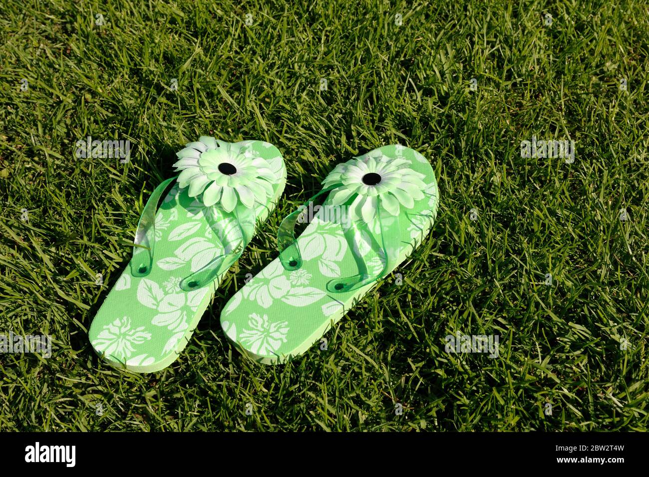 Grüne florale Flip-Flops auf einem Rasen Stockfoto