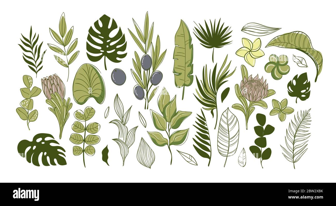 Große Menge von grünen tropischen Blättern und Blumen. Stock Vektor