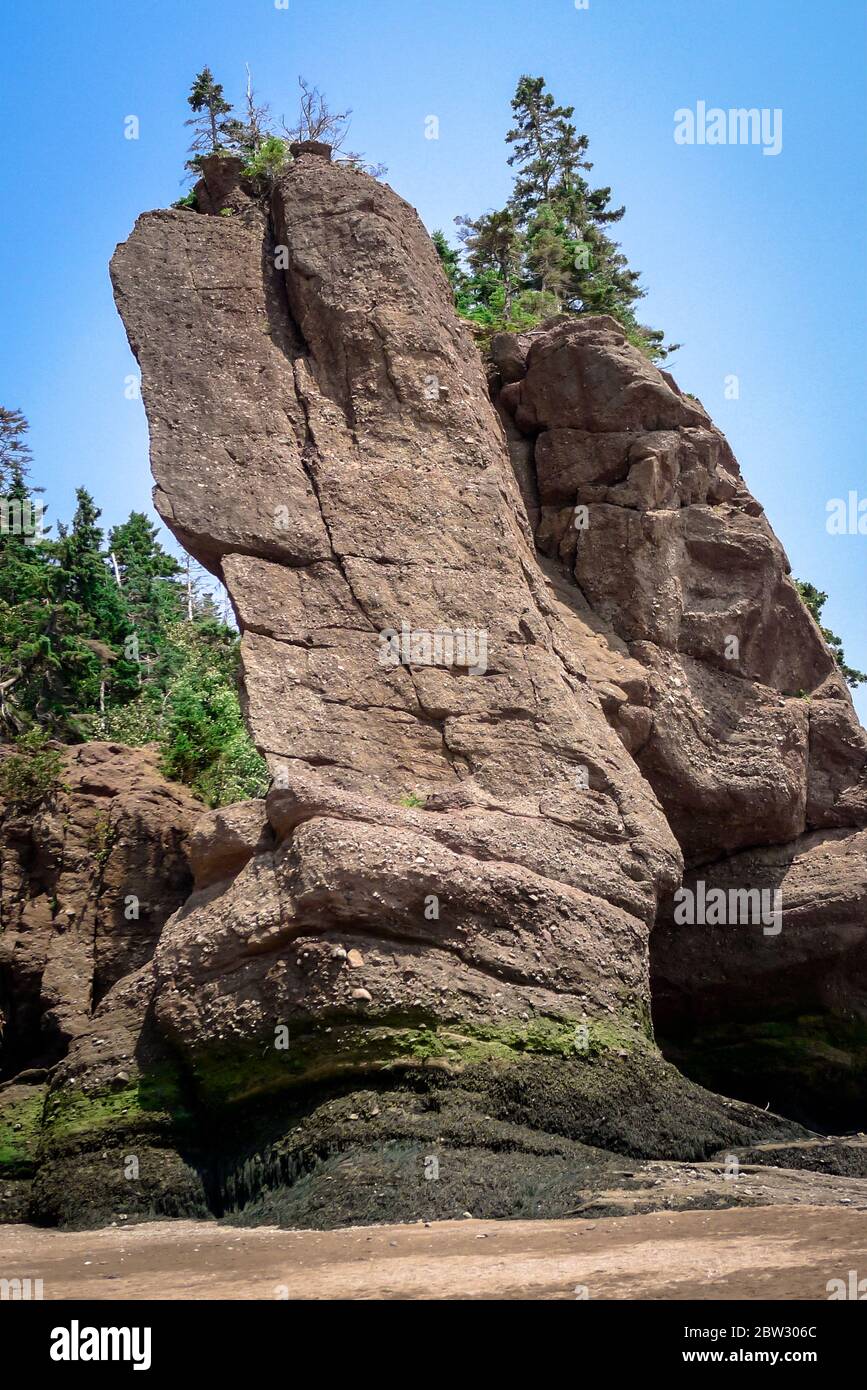 Riesige, wunderschöne Felsformationen im Hopewell Rocks Park in New Brunswick, Kanada - Kanadisches Reiseziel - Kanadische Landschaft Stockfoto