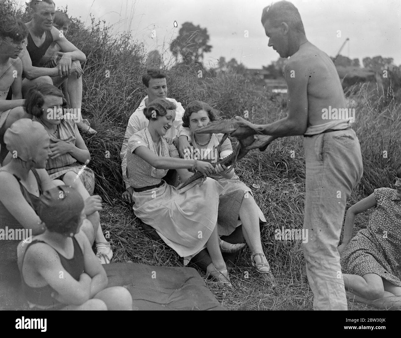 Wildjäger und Entdecker im Camp an der Themse. Captain Sarll, der große Wildjäger und Entdecker zeigt eine Party von Feriencamper in Shepperton, ein 10 Jahre alter Alligator, die er nach England von einer Wildjagd im Ausland gebracht. August 1932 Stockfoto