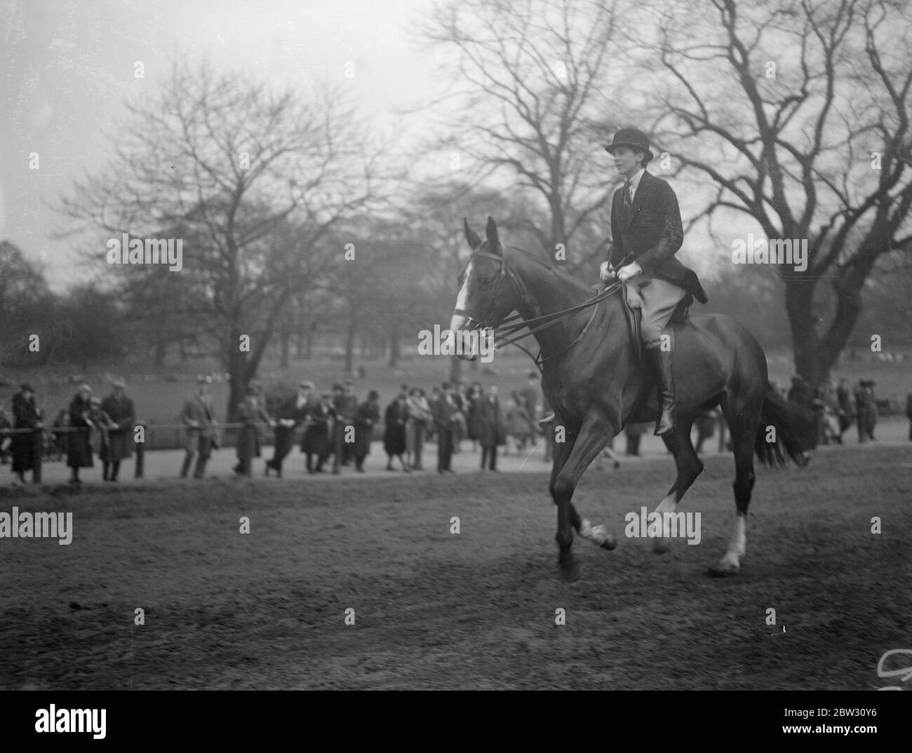 Stirruless Fahrer in der Reihe . Miss D Shepherd Reiten Steigbügellos in der Reihe , Hyde Park , wo sie eine Sensation unter den Fahrern verursacht . 26. April 1932 Stockfoto