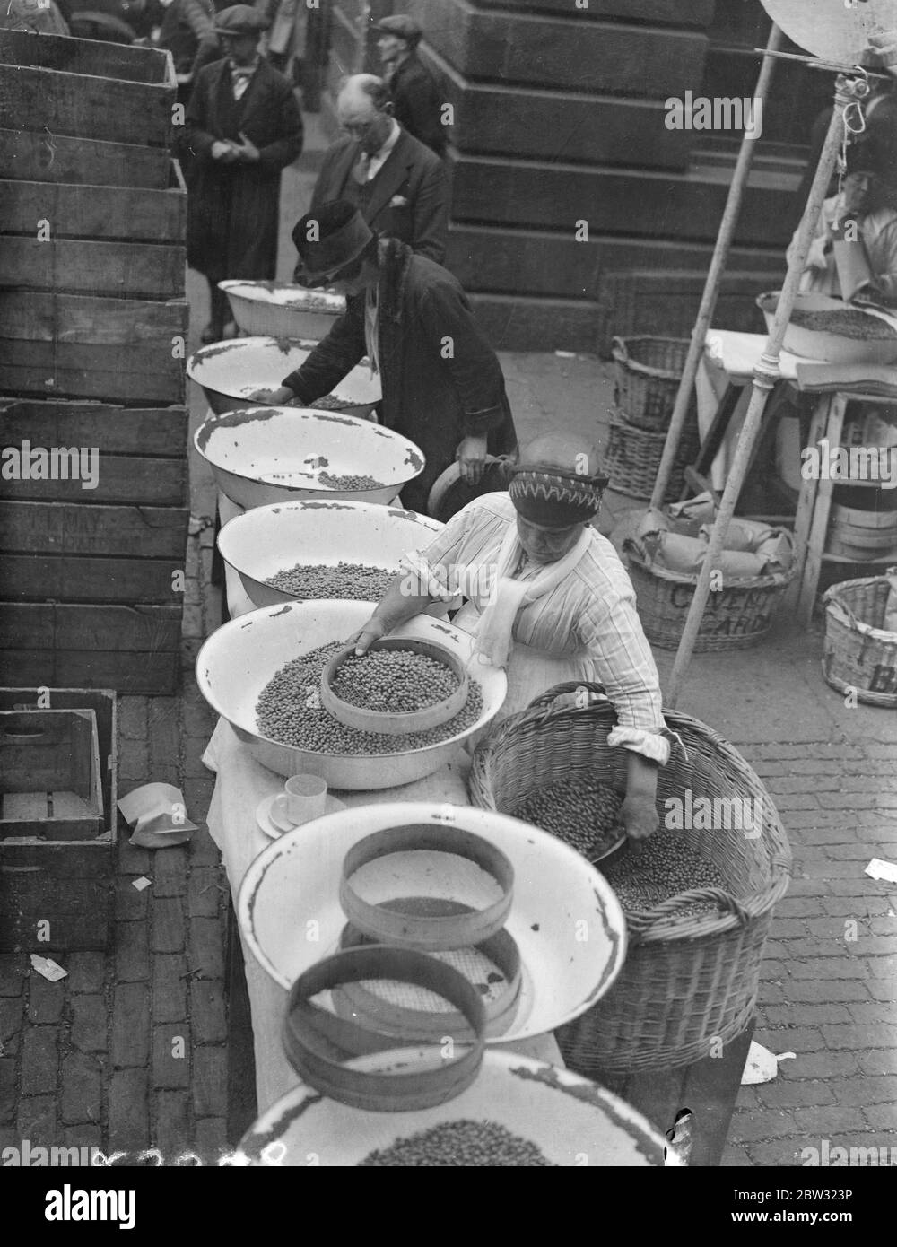 Frauen Erbsenpflücker beginnen ihre Arbeit bei Covent Garden. Sicher Vorboten des Sommers, Frauen Erbsenpflücker können bei der Arbeit jeden Morgen früh Beschuss Erbsen in Covent Garden gesehen werden. Einige der Frauen haben sich jährlich für die Arbeit für die letzten halben Jahrhundert engagiert. Frauen Erbsenpflücker bei der Arbeit in den frühen Morgenstunden in den Straßen neben Covent Garden, London. 21 Juni 1932 Stockfoto