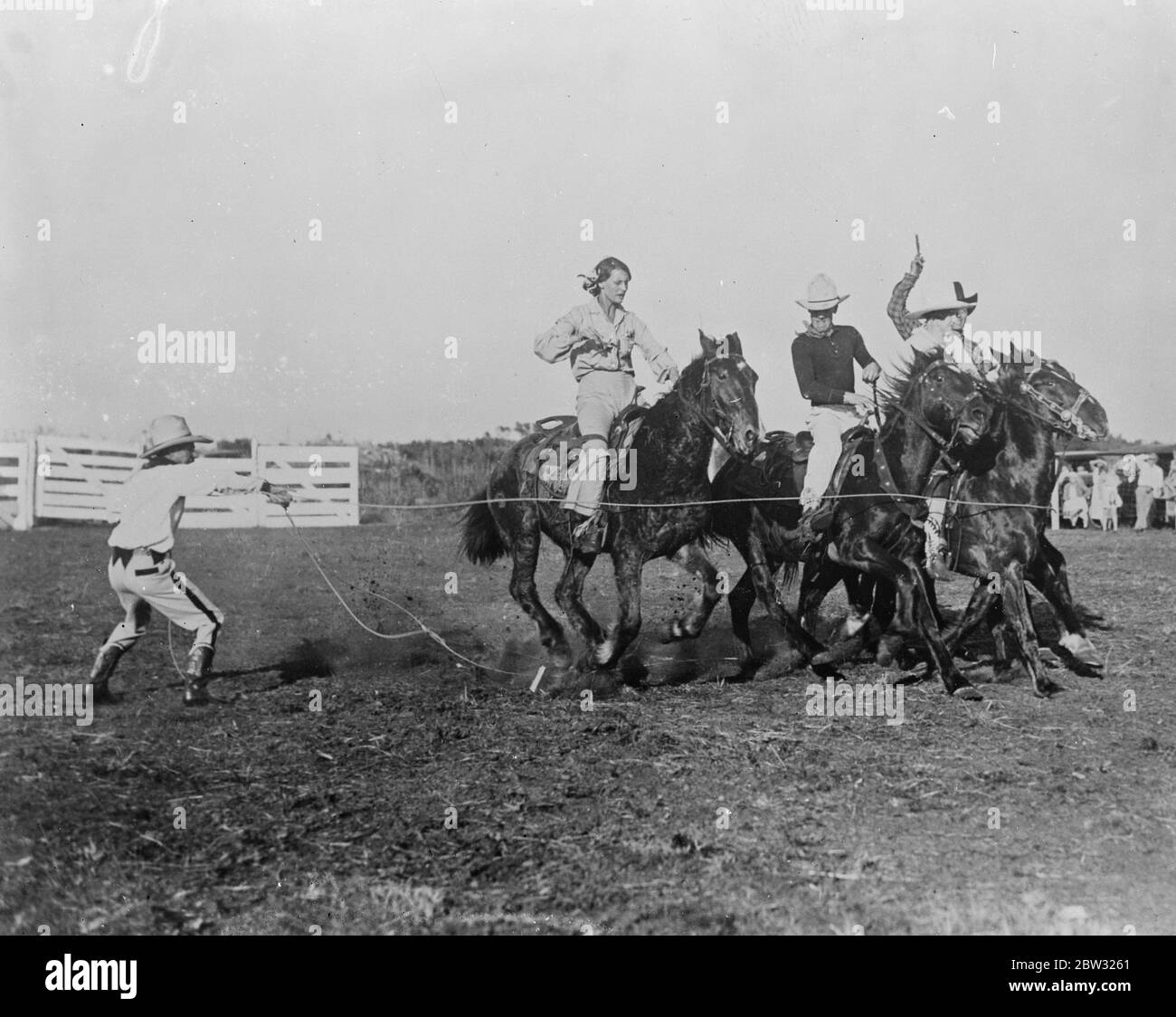Fangen von sechs Pferden auf einmal mit einem Lasso. Jack Wolfe, von Tucuman, Fang sechs Pferde auf einmal während eines Rodeos im Belvedere Park statt, Palm Beach, Florida. 25. Januar 1932 Stockfoto