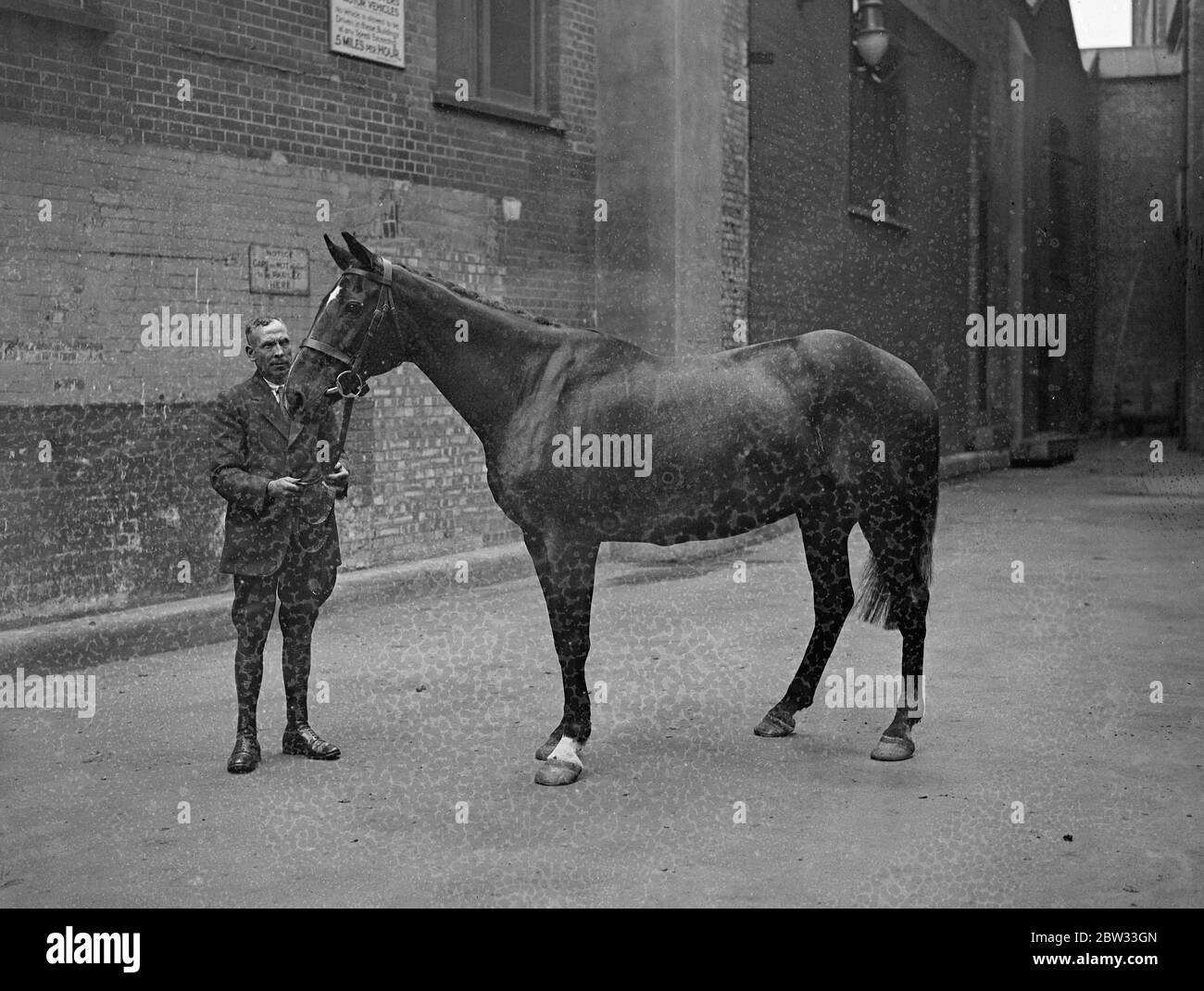 Mann mit seinem Pferd für besondere Bestellung verwendet. Allie Sloper . 27 Juli 1932 Stockfoto