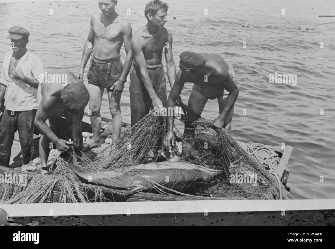 Ausgeführt nach dem ' kollektiven Prinzip ' . Die Sowjetregierung hat die gesamte Fischerei um die Küste ihres Territoriums übernommen und hat das "kollektive" Prinzip angenommen, um es zu kontrollieren, wie es im Fall der Landwirtschaft getan hat. Eine organisierte Flotte geht unter der Kontrolle eines Mutterschiffes in die Fischgründe, auf das sie ihren Fang abführt. Diese bemerkenswerten Bilder vom Delphinfischen wurden während einer gemeinsamen Expedition im Schwarzen Meer aufgenommen. Boote legen Netze beim Fischen nach Delfinen von Jalta , im Schwarzen Meer . November 1932 Stockfoto