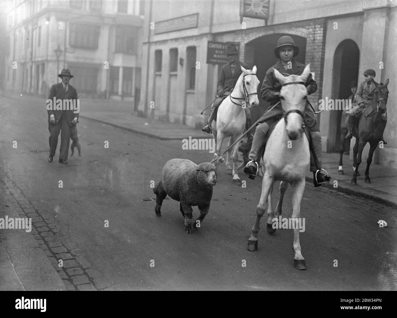 Mary und ihr Lamm - eine neue Version . Die kleine Mary Sinclair hat ein Hauslamm, das sie jeden Tag begleitet, wenn sie in der Reihe reitet. Mary reitet ihr Pferd und das Lamm trabt neben ihr. Die kleine Mary Sinclair mit ihrem Hauslamm bricht auf zu einer Fahrt in der Row im Hyde Park, London. 31. Januar 1932 Stockfoto