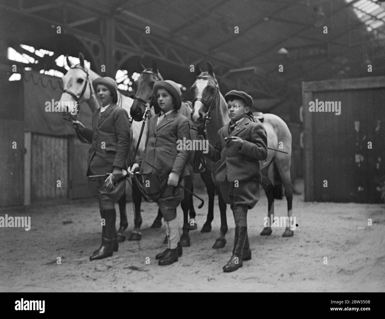 Pony Show . Königliche Landwirtschaftliche Halle . 1932 Stockfoto