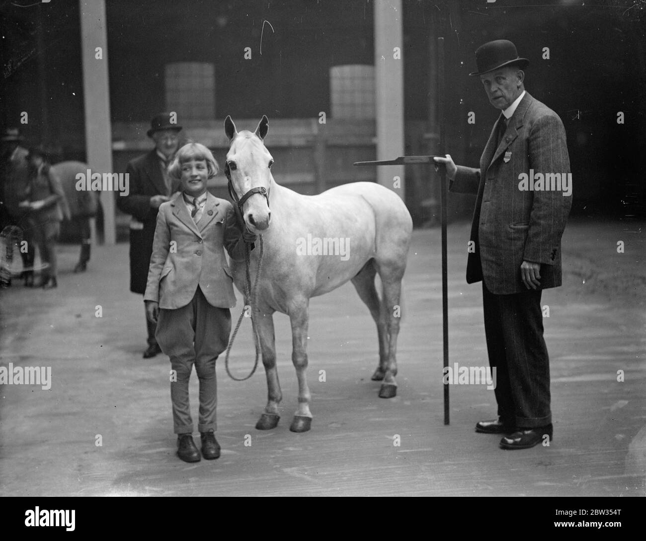 Beurteilung bei der Natioonal Pony Show . Die nationale Pony Show statt Inconnection mit der arabischen Pferdegesellschaft, eröffnet in der Agricultural Hall, Islington, London. Miss Betty White hält ihren Beitrag ' Grey Dawn ' während er während der Beurteilung in der Show gemessen wird. März 1933 Stockfoto