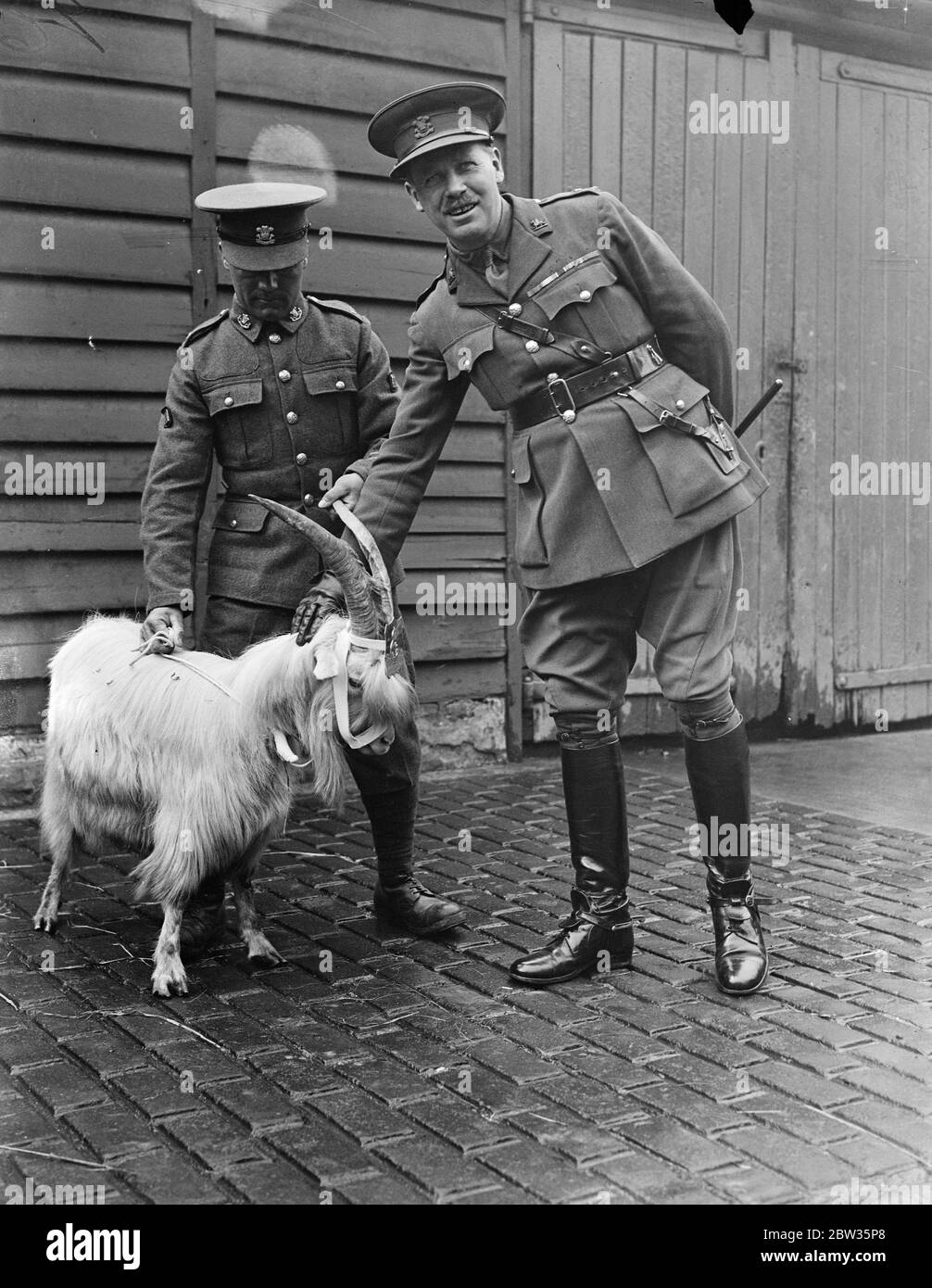 Die Ziege des Königs wurde von Kommandanten des 1. Bataillons Walisischen Regiment empfangen. Eine zweijährige Ziege, das Geschenk des Königs, wurde auf Salamanca Paradeplatz, Aldershot, von der kommandierenden Offizier des 1. Bataillon Welsh Regiment, Oberstleutnant FH Linton, DSO empfangen. Die Ziege soll das neue Regimentsmaskottchen in Folge Taffy V sein, der vor 14 Tagen gestorben ist. Das neue Maskottchen wird Taffy VI genannt. Foto zeigt ; Leutnant Col F H Linton , DSO , mit der Ziege . Mai 1933 Stockfoto