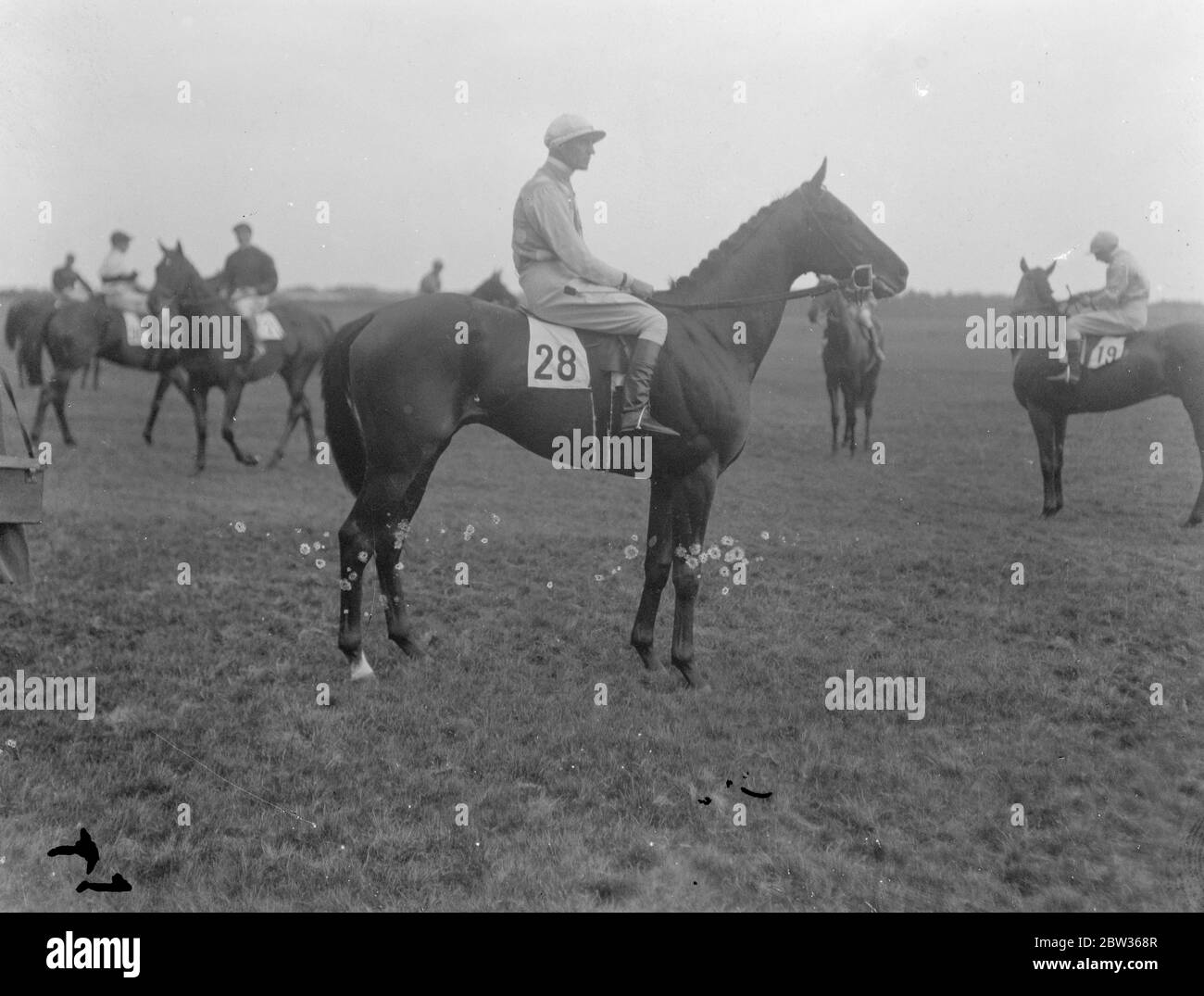 Rennpferd Statesman und Jockey stehen vor einem Rennen mit anderen Pferden und Jockeys im Hintergrund. Juni 1933 Stockfoto