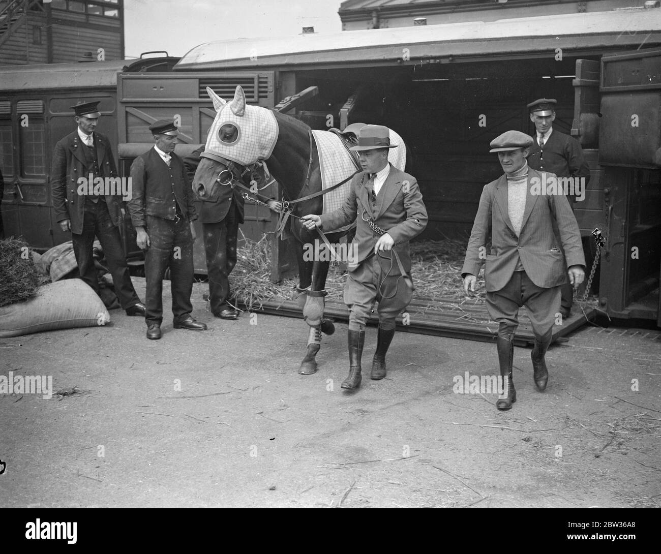 Racepferd Raymond wird von Bräutigam aus Eisenbahnwagen Pferdekasten geführt. Juni 1933 Stockfoto