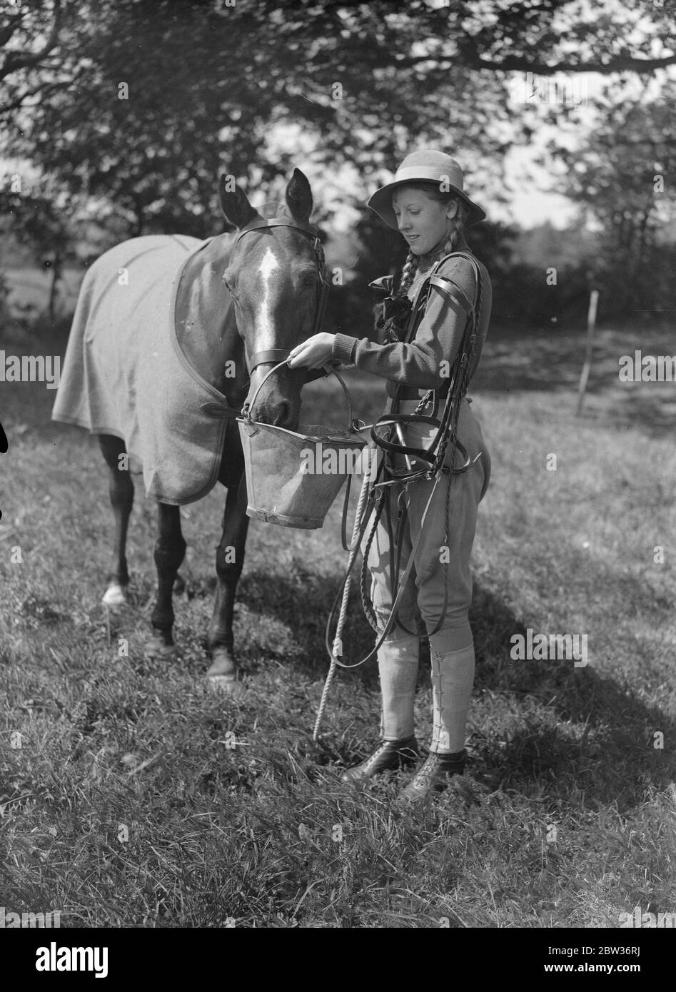 Füttern sie Mount in Westerham Hill montiert gymkhana . Die jährliche Pferdeshow und gymkhana in Hilfe des Royal Veterinary College London, fand in Westerham Hill, Kent, wenn es mehrere Veranstaltungen für Kinder. Foto zeigt, Hermine Bezzant Fütterung ihrer Mount "Sorbo", bei der Show. Bis 23. August 1933 Stockfoto