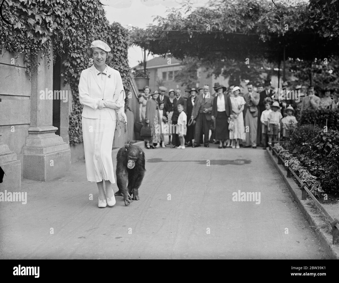 Famus ungarische Musical-Comedy-Schauspielerin in London . Die schöne Lillian Starr, berühmte Budapester Musical-Comedy-Schauspielerin zu Besuch der Schimpanse im Londoner Zoo. 24 Juli 1935 Stockfoto