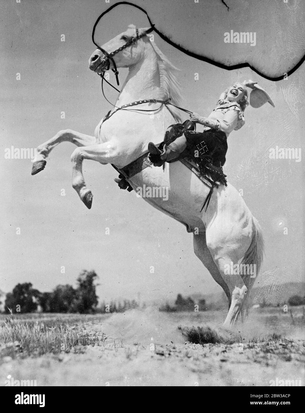 Frank Johnson Taylor, ein bekannter amerikanischer Porträtmaler, verpflichtete sich, Rodeo-Reiterin Miss Ethelyn Dectreaux auf ihrem aufziehenden Pferd "Blondy" in Beverly Hills, Kalifornien, zu malen. Miss Dectreaux posierte in ihrer Rolle als Großmarschall der Feier ihrer Stadt ' Beverly Hills auf Parade '. Das Gemälde ist für die Stadt Beverly Hills. Foto zeigt, Miss Dectreaux posiert auf ihrem aufziehenden Pferd "Blondy". 12 Mai 1934 Stockfoto