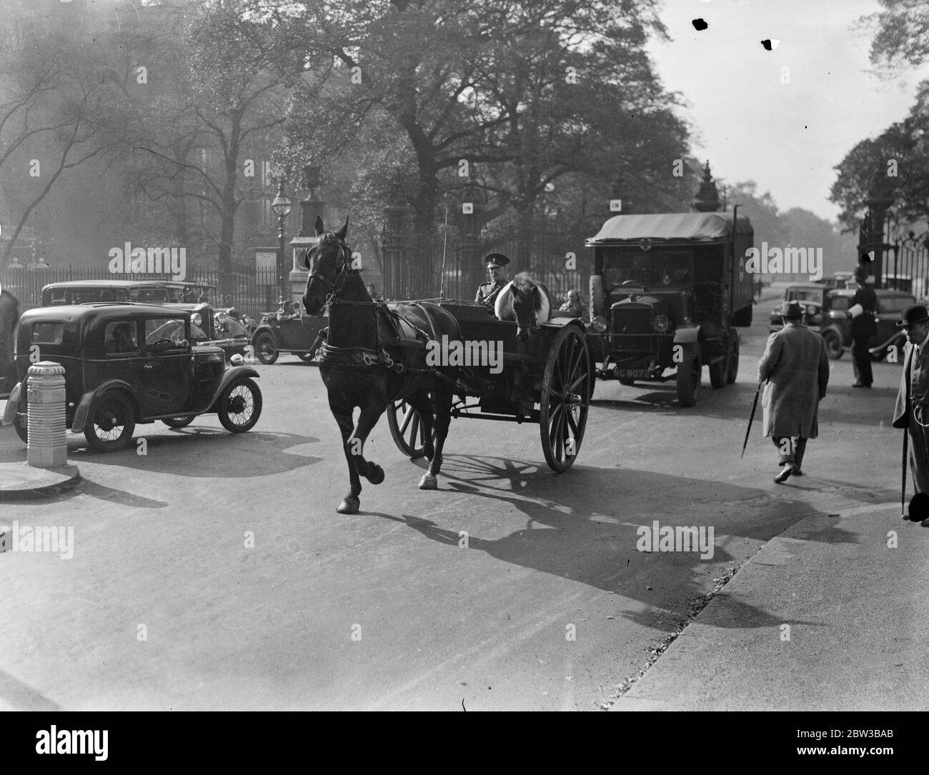 Life guards Pony Maskottchen bekommt einen Aufzug in Pferd gezogenen Wagen durch Hyde Park , London . Oktober 1934 . Stockfoto