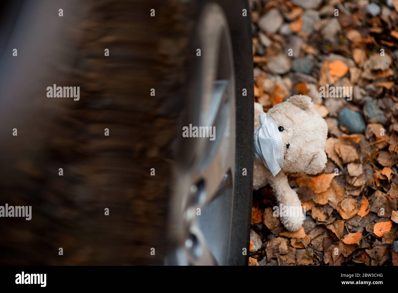 Ein Teddybär in einer medizinischen Maske schaut leider heraus Unter dem Steuer des Autos Stockfoto