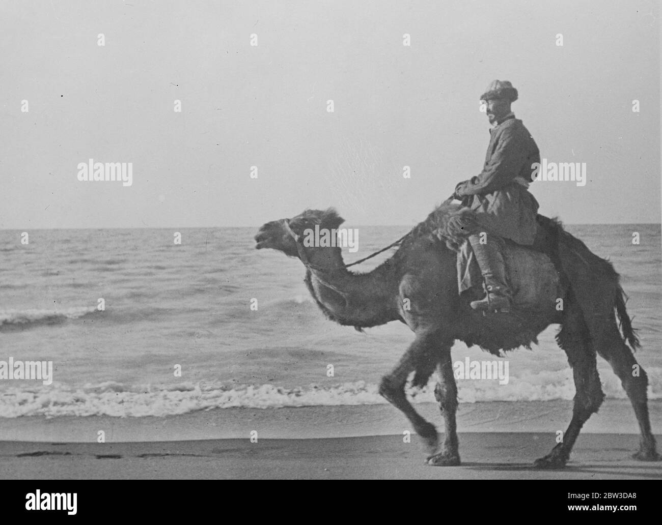 Das Schiff der Wüste kommt zum Meer. Ein Kamel am Meer. Bauer von Kasachstan reitet seine Wüste Mount entlang der Ufer des Balkhasch. 20. November 1935 Stockfoto