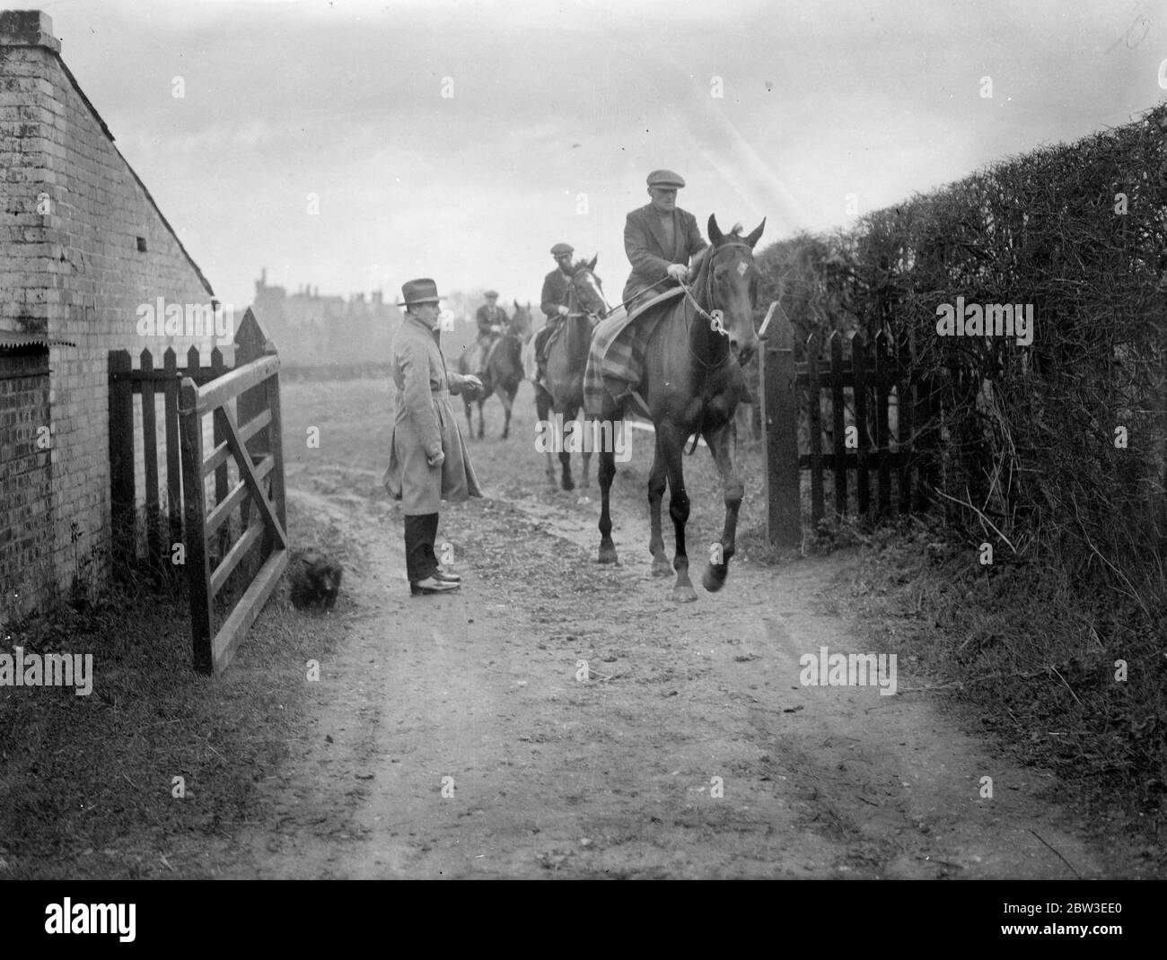 Grand National Kandidat in der Ausbildung in Epsom . Brave Cry und Battle Cry im Training. 25. Januar 1935 Stockfoto