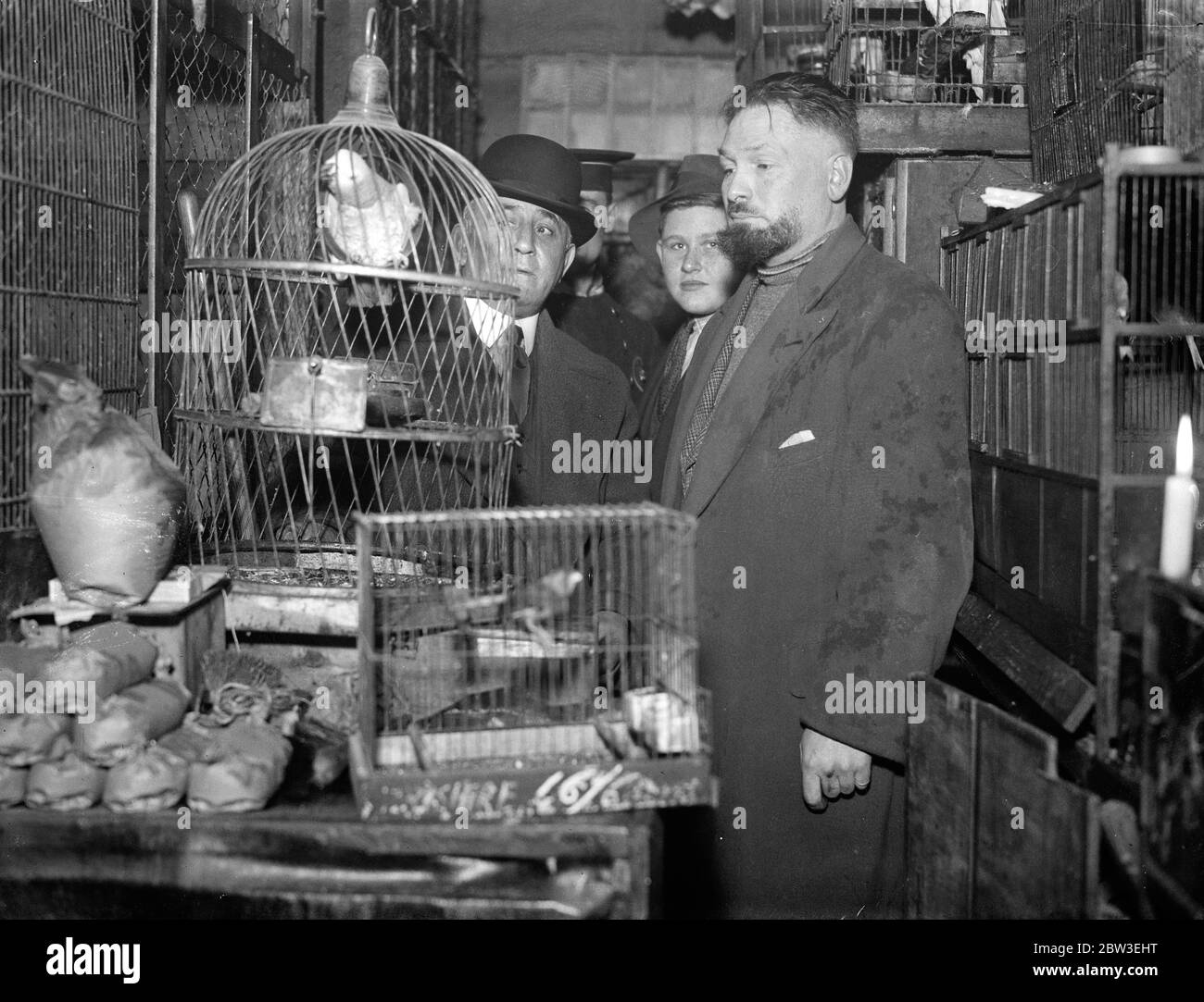 Einige der Vögel sind vor dem Feuer auf dem Euston Markt gerettet. 20 Dezember 1934 Stockfoto