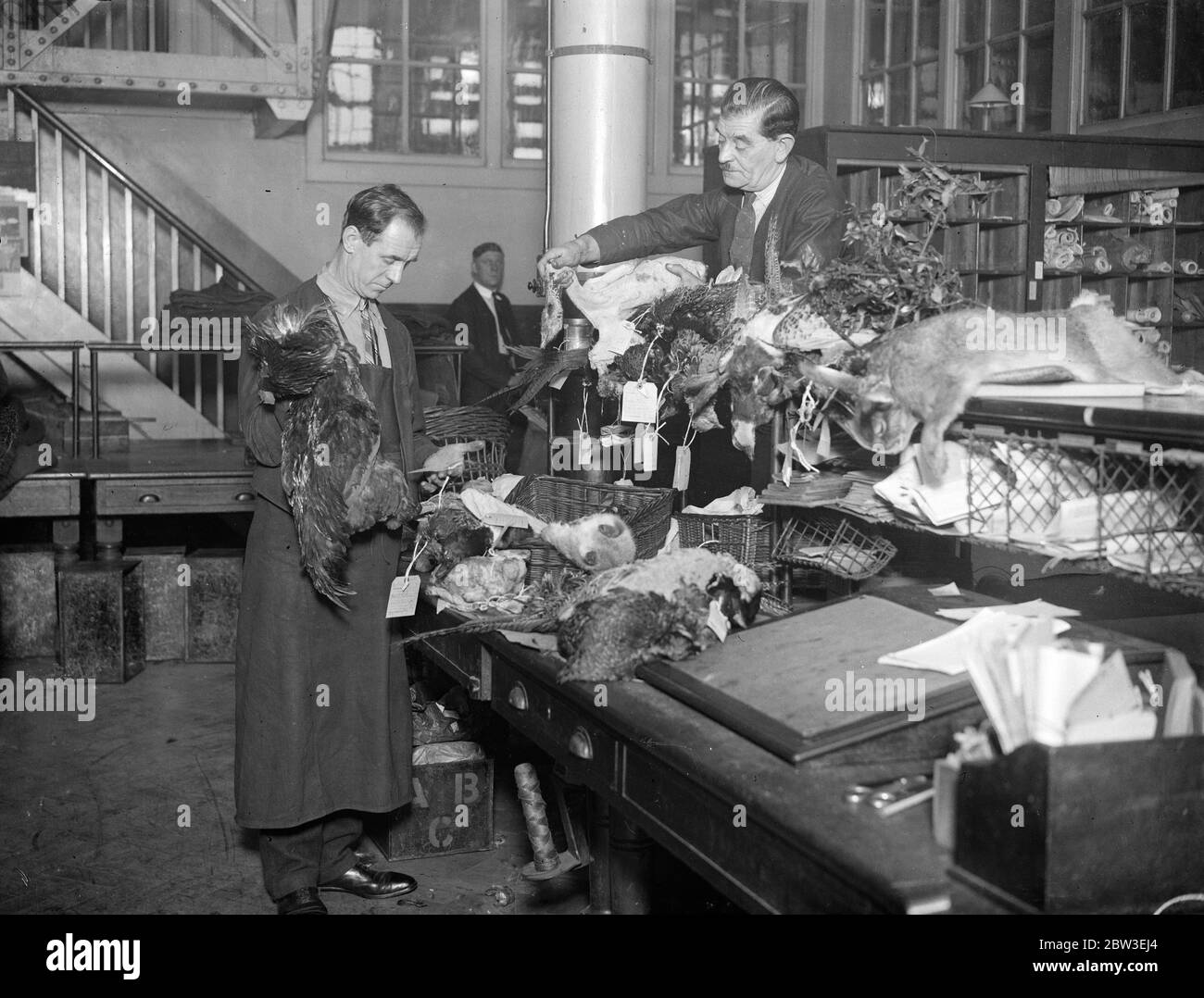 Postbehörden in Londons größtem Sortierbüro, Mount Pleasant, Umgang mit Hunderten von Weihnachtspaketen, die in die Irre gingen. 27 Dezember 1934 Stockfoto