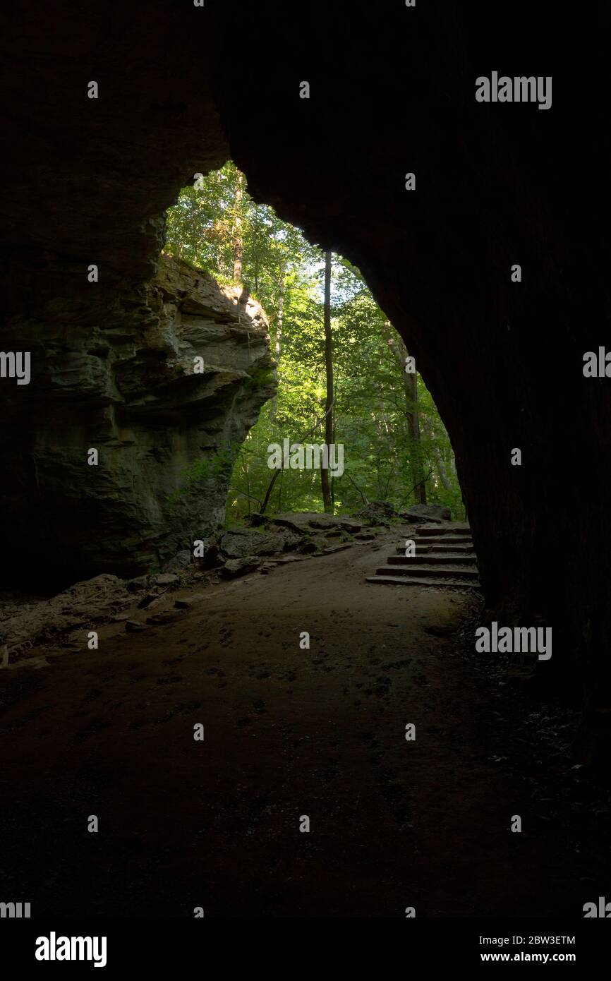 Ein Höhleneingang im Wald Stockfoto