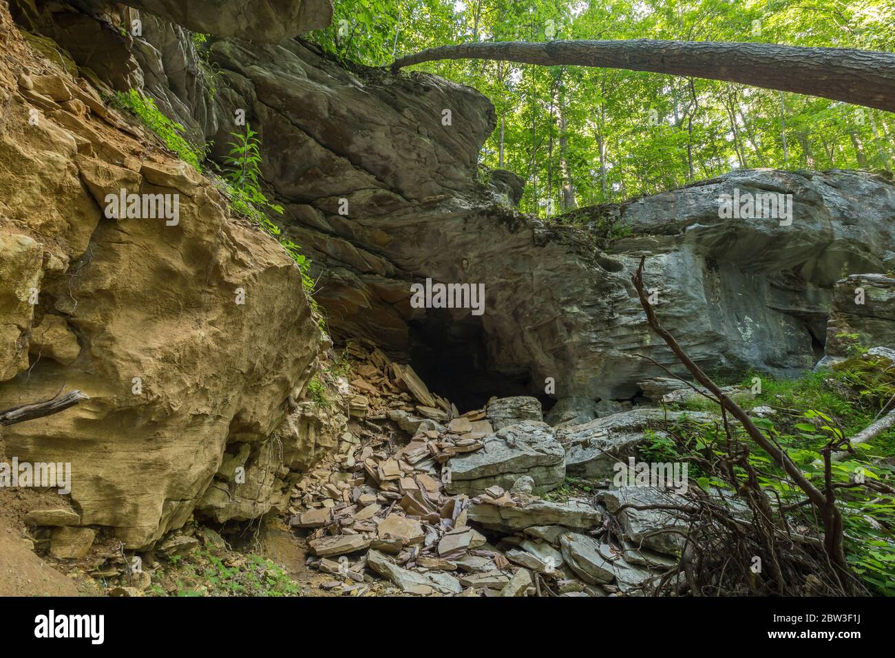 Eine Höhle im Wald Stockfoto