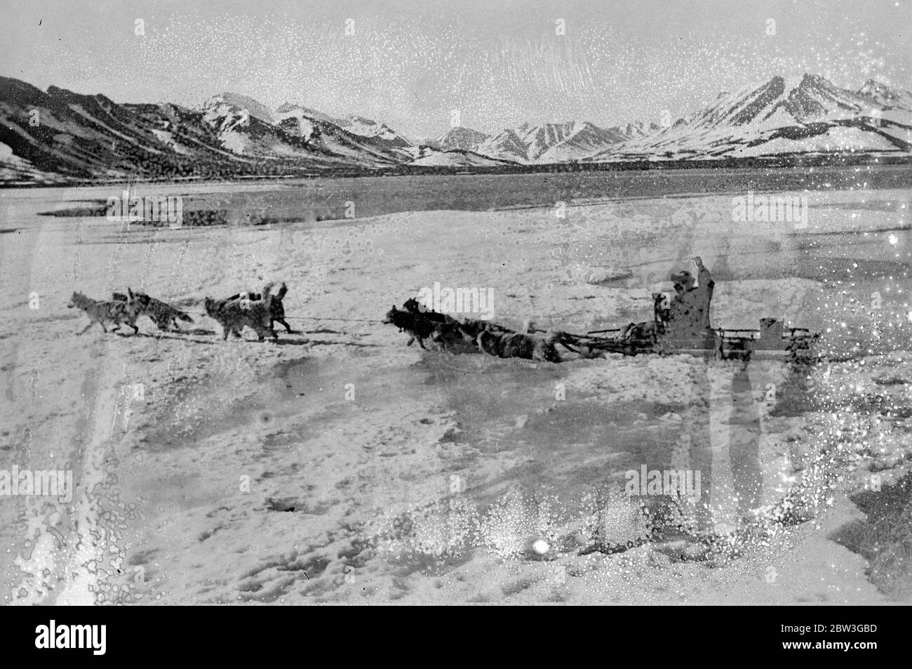 Der Frühling hat seine Gefahren für die Hardy Menschen, die auf der Kamtschatka Halbinsel in den arktischen Regionen Ostsibiriens leben. Das letzte Eis bietet einen extrem gefährlichen Weg für die Hundemannschaften und Rentiere, die das einzige Mittel sind, mit dem die Wintermüll im Winter durchquert werden können. Oft , die Schwächung Schollen geben Weg und Tiere und Fahrer werden in tiefes eisige Wasser getaucht . Foto zeigt, ein Hundeteam, versucht, das letzte Eis eines Flusses in der Kamtschatka Halbinsel zu überqueren. Wie riskant ein Unternehmen dies ist, kann man an der Position des letzten Hundes, der in tiefes Wasser durchgebrochen ist, beurteilen. 14 Stockfoto