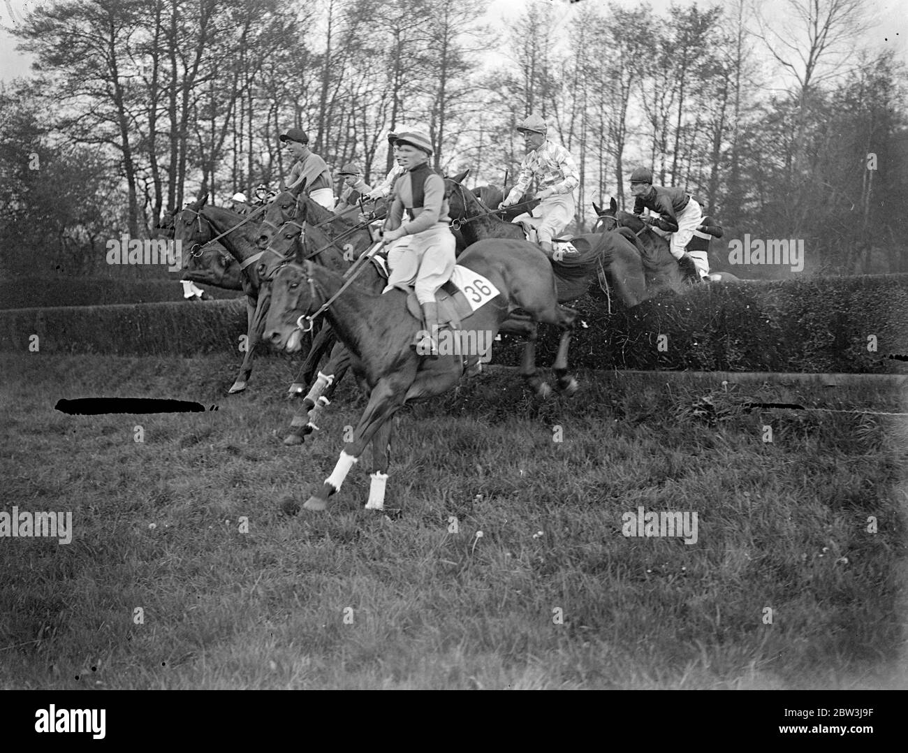 Sieben zusammen in Lingfield. Bon Cheval gewinnt . Bon Cheval gewann "die Gone Away Open Hunters Chase Cup, wenn die Vereinigten Jagd Hindernisrennen wurden in Lingfield ausgeführt. Der weiße König war zweiter und Golden Ore Dritter. Foto zeigt, sieben Pferde einen Sprung in der weg gegangen OpenHunters Chase Cup, von der Bon Cheval gewonnen. 11 Mai 1936 Stockfoto