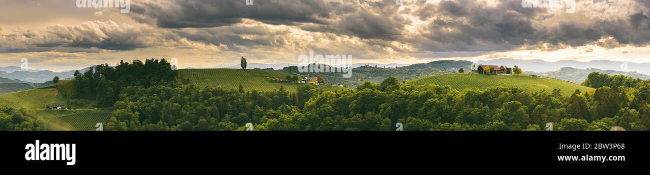 Panorama der Weinberge Hügel in der Südsteiermark, Österreich. Toskana wie Ort zu besuchen. Stockfoto