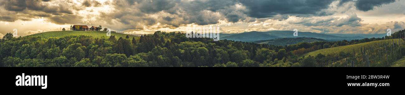 Panorama der Weinberge Hügel in der Südsteiermark, Österreich. Toskana wie Ort zu besuchen. Stockfoto