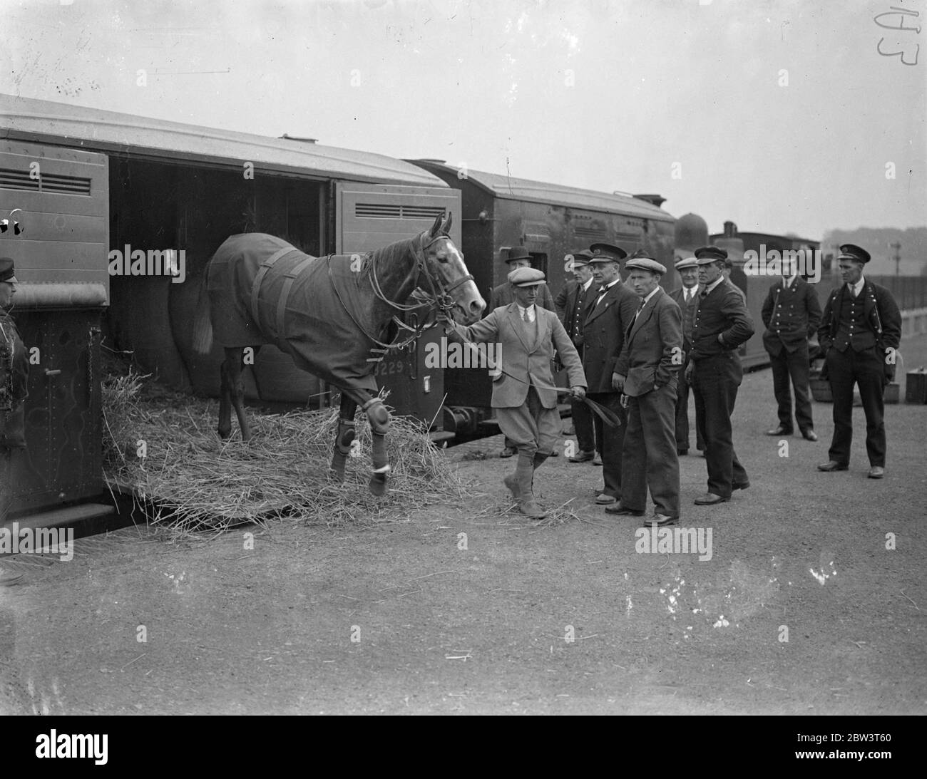 Französisch Pferd kommt in Epsom für die Eichen . Royalebuchy, die Französisch Orse, die in den Eichen am Freitag laufen, angekommen in Epsom. Foto zeigt, Royalebuchy Ankunft in Epsom Station. 25 Mai 1936 Stockfoto