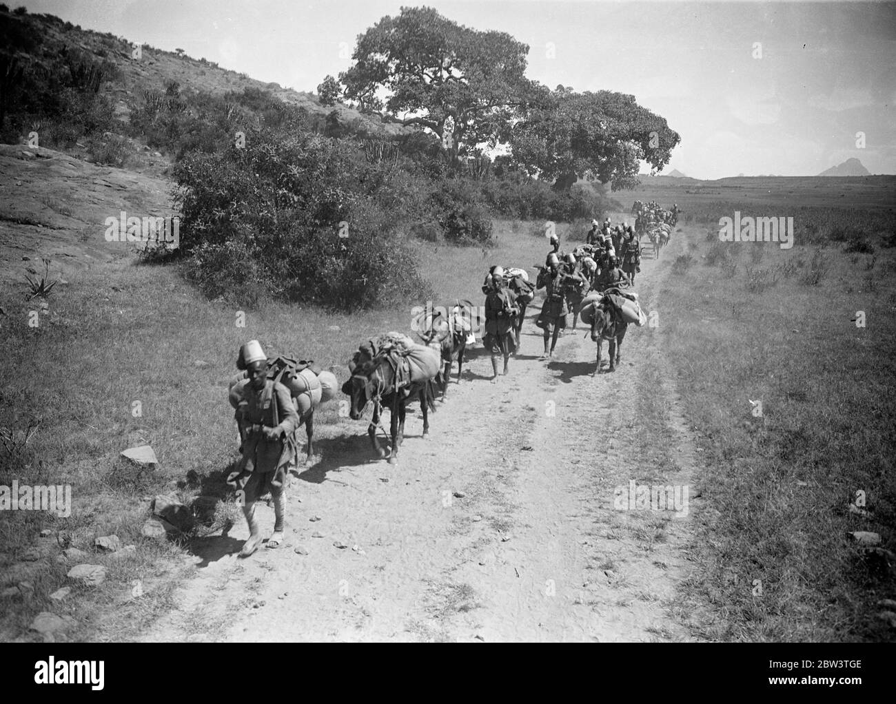 Schwarze Askari Truppen und Maultiere gehen die Linien in der Nähe von Adowa. Mai 1936 Stockfoto