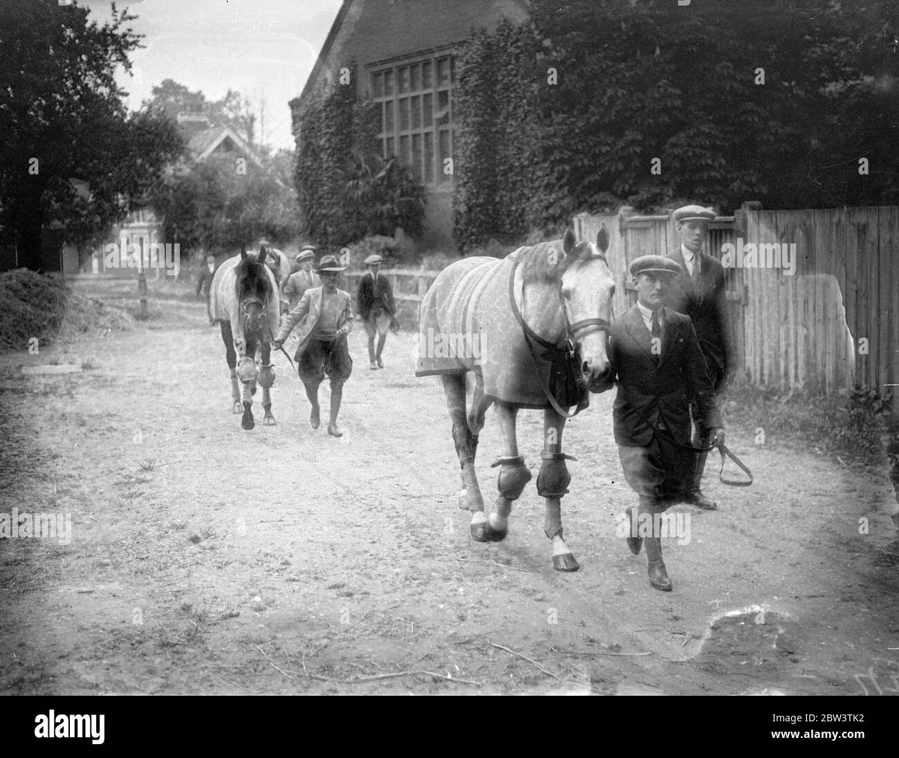 Mahmoud, Derby Sieger, geht nach Hause. Nach der Nacht in Epsom nach seinem Derby Triumph Mahmoud, der Aga Khan ' s siegreichen colt kehrte nach Newmarket. Foto zeigt, Mahmoud führt die Aga Khan ' s andere Derby Läufer, Taj Akbar, und Bala Hissar, wie sie die Durdans in Epsom für Newmarket verlassen. 28 Mai 1936 Stockfoto