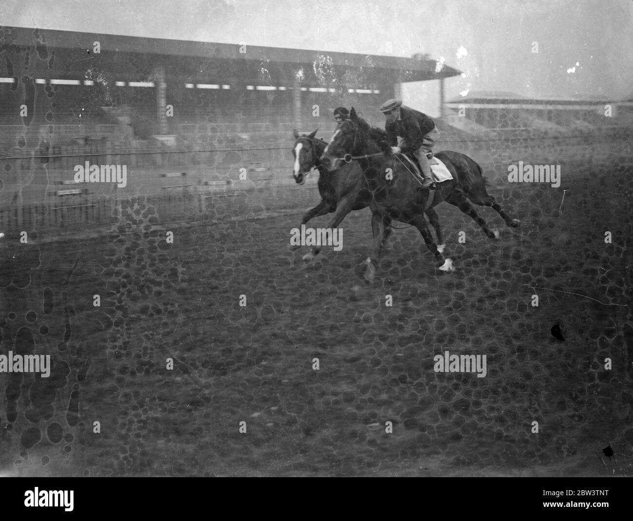 Carioca , Derby Kandidat , hat am frühen Morgen Galopp Epsom unten . Derby Runners hatten am frühen Morgen Agllops auf Epsom Downs, um den letzten Schliff zu ihrem Training für das große Rennen morgen (Mittwoch) setzen. Foto zeigt, Miss Margorie Nachtigall Pacing Barryatar, ein Derby-Kandidat, der von ihrem Bruder Walter Nachtigall trainiert wird, auf Epsom Downs heute Morgen (Dienstag). Barrystar ist die nächste Kamera. 26 Mai 1936 Stockfoto Carioca , Derby Kandidat , hat am frühen Morgen Galopp Epsom unten . Derby Runners hatten am frühen Morgen Agllops auf Epsom Downs, um den letzten Schliff zu ihrem Training für das große Rennen morgen (Mittwoch) setzen. Foto zeigt, Miss Margorie Nachtigall Pacing Barryatar, ein Derby-Kandidat, der von ihrem Bruder Walter Nachtigall trainiert wird, auf Epsom Downs heute Morgen (Dienstag). Barrystar ist die nächste Kamera. 26 Mai 1936 Stockfoto