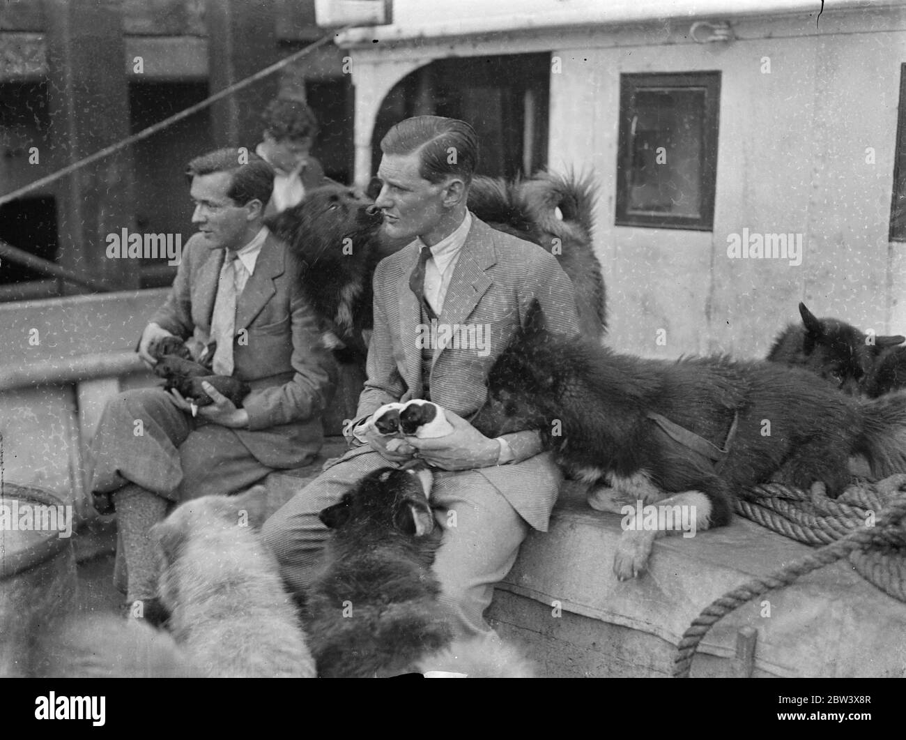 Oxford University Expedition aus der Arktis mit 16 Huskies. Nach einem Jahr Aufenthalt in den Polarregionen Nordislands und Lapplands erreichte die Oxford University Expedition Hayes Wharf, London, auf der Nordkapp II. Sie haben 16 Husky Hunde für den Whipsnade Zoo mitgebracht - 11 ausgewachsene und 5 Welpen auf der Heimreise geboren. Ein Mitglied der Expedition hatte eine enge Flucht, als sie auf Eisscholle abgeschnitten wurden, nachdem sie ihr Beiboot verloren hatten. Sie machten ein weiteres kleines Boot aus einer Hütte und einem Luftbett und konnten zu ihrer Basis zurückkehren. Die Expedition , die von Herrn geleitet wurde . Alexander ( S Stockfoto