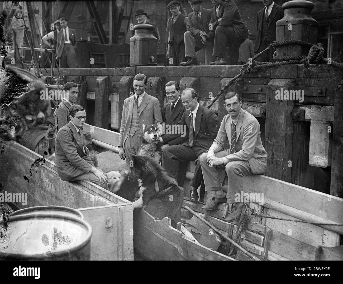 Oxford University Expedition aus der Arktis mit 16 Huskies. Nach einem Jahr Aufenthalt in den Polarregionen Nordislands und Lapplands erreichte die Oxford University Expedition Hayes Wharf, London, auf der Nordkapp II. Sie haben 16 Husky Hunde für den Whipsnade Zoo mitgebracht - 11 ausgewachsene und 5 Welpen auf der Heimreise geboren. Ein Mitglied der Expedition hatte eine enge Flucht, als sie auf Eisscholle abgeschnitten wurden, nachdem sie ihr Beiboot verloren hatten. Sie machten ein weiteres kleines Boot aus einer Hütte und einem Luftbett und konnten zu ihrer Basis zurückkehren. Die Expedition , die von Herrn geleitet wurde . Alexander ( S Stockfoto