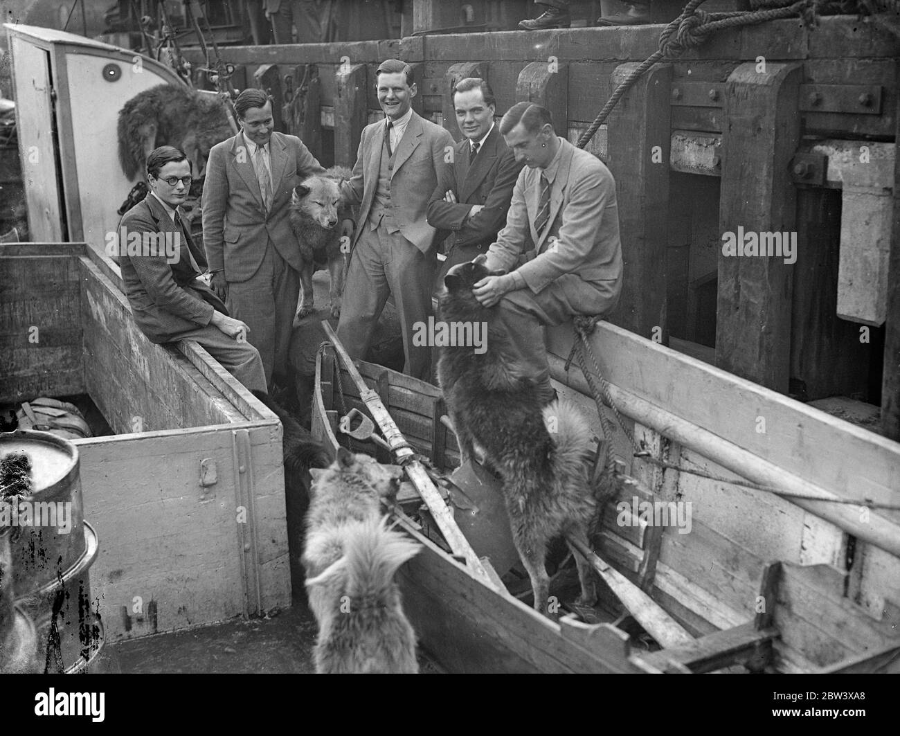Oxford University Expedition aus der Arktis mit 16 Huskies. Nach einem Jahr Aufenthalt in den Polarregionen Nordislands und Lapplands erreichte die Oxford University Expedition Hayes Wharf, London, auf der Nordkapp II. Sie haben 16 Husky Hunde für den Whipsnade Zoo mitgebracht - 11 ausgewachsene und 5 Welpen auf der Heimreise geboren. Ein Mitglied der Expedition hatte eine enge Flucht, als sie auf Eisscholle abgeschnitten wurden, nachdem sie ihr Beiboot verloren hatten. Sie machten ein weiteres kleines Boot aus einer Hütte und einem Luftbett und konnten zu ihrer Basis zurückkehren. Die Expedition , die von Herrn geleitet wurde . Alexander ( S Stockfoto