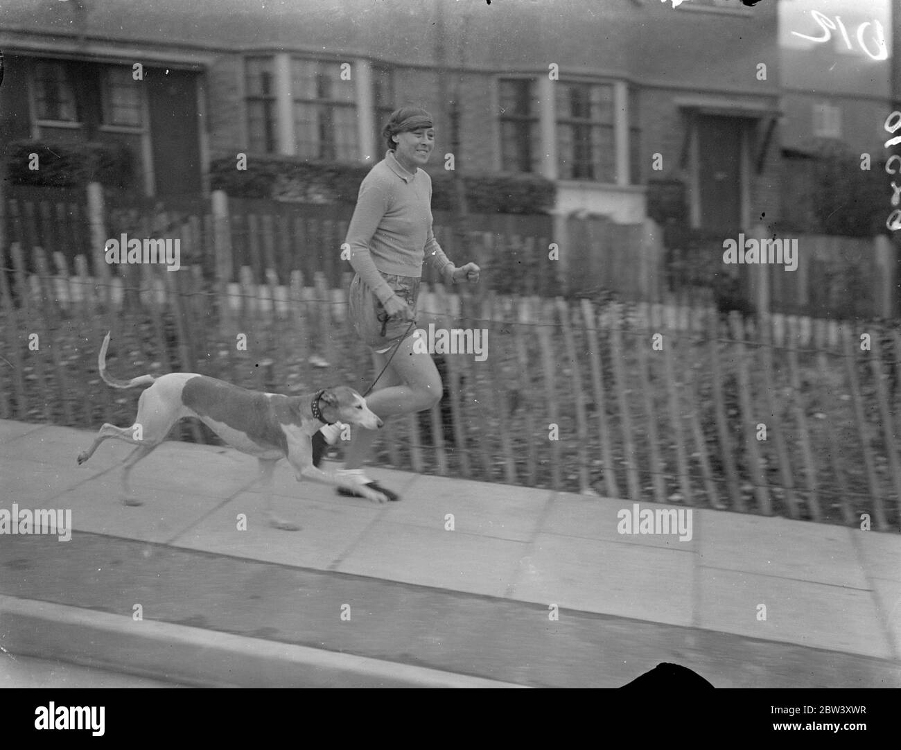 Frau Marathon Läufer Züge mit Greyhound für Meile Sprint. Von einem Windhund , Sally Melax , Miss Violet Piercy , die Frau Marathon-Läuferin , trainiert für einen zwei Meilen Sprint , eine Leistung, die Experten sagen, kann nicht von einem Marathonläufer durchgeführt werden . Foto zeigt, Miss Violet Piercy durch den Windhund, Sally Melax, während eines Trainingslaufs in Mitcham, London. 16 März 1937 Stockfoto