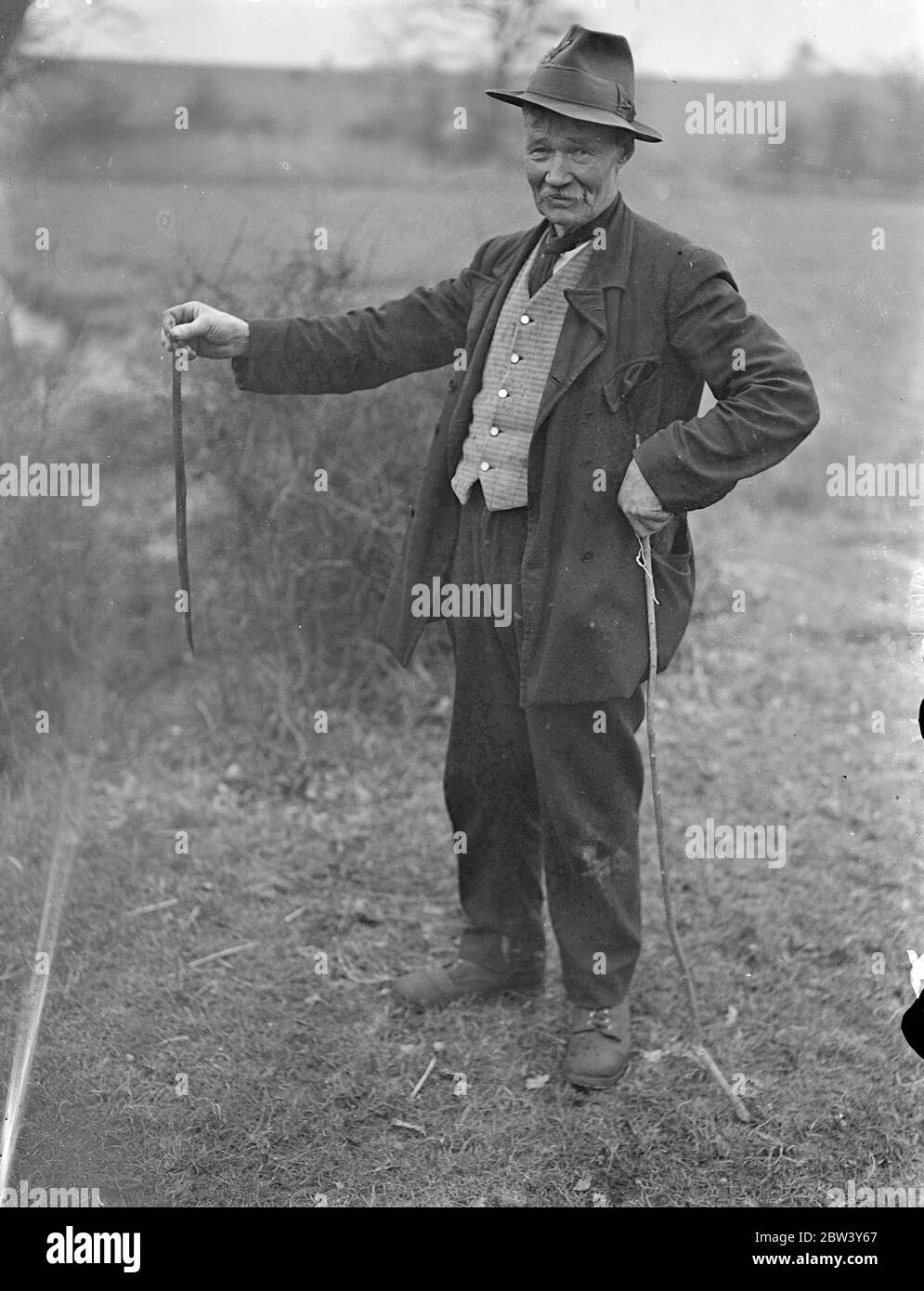 Schlangenmann des Neuen Waldes tötet erste Adder der Saison. Herr William Gould , im Alter von 67 , der Adder Killer des New Forest , hat seinen ersten "töten" der neuen Saison gemacht . März und April sind für ihn arbeitsreiche Monate, denn sobald der Wald den Frühling vorhersagt, kam die Adder aus ihren Winterverstecken. Herr Gould jagt die Leitern für ihr Fett , das ihm zufolge heilt fast alles , einschließlich Natter Bisse und Taubheit . Dieses ' Fett ' liegt entlang des Darms und von einer durchschnittlichen Länge Adder kann etwa ein halber Teelöffel extrahiert werden. Der Jagdapparat von Herrn Gould ist einfach, ein Haselnuss Stockfoto