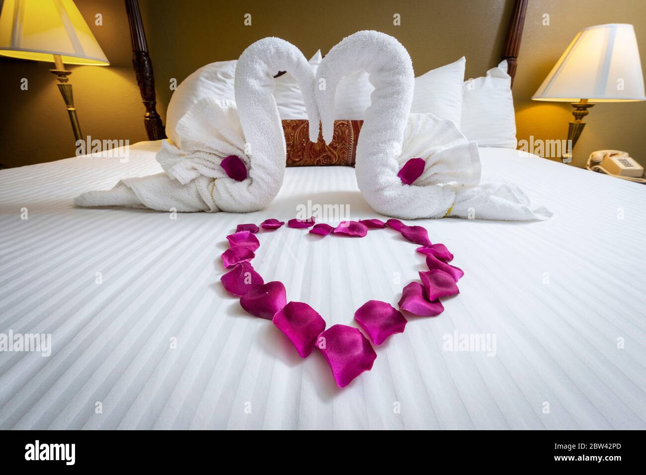 Schwan Handtuch Dekorationen und herzförmige Rosenblätter auf dem Bett in Honeymoon Suite Hotel Zimmer Bett Stockfoto