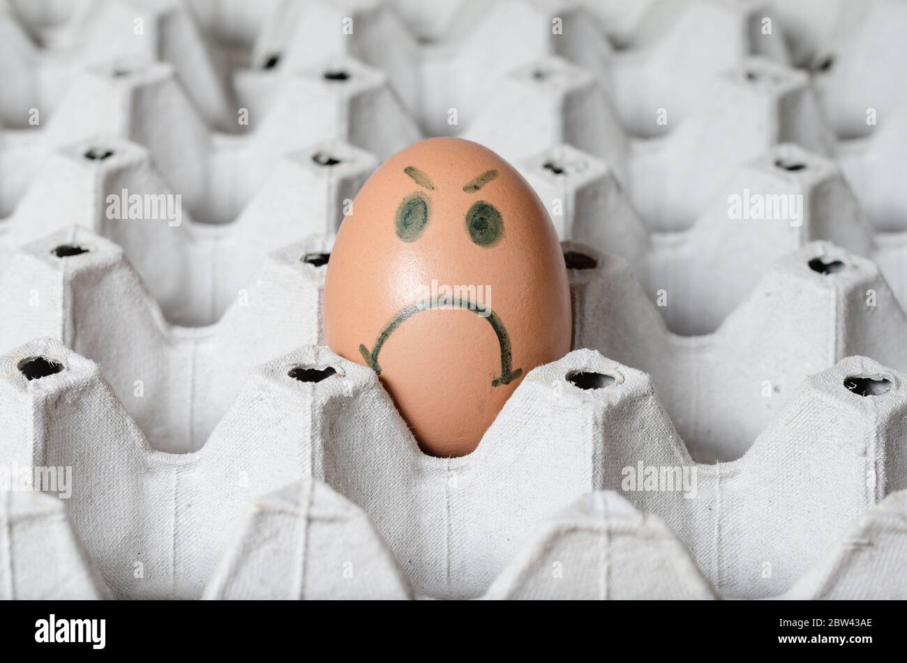 Ein Schlechtes Ei Stockfotos Und Bilder Kaufen Alamy