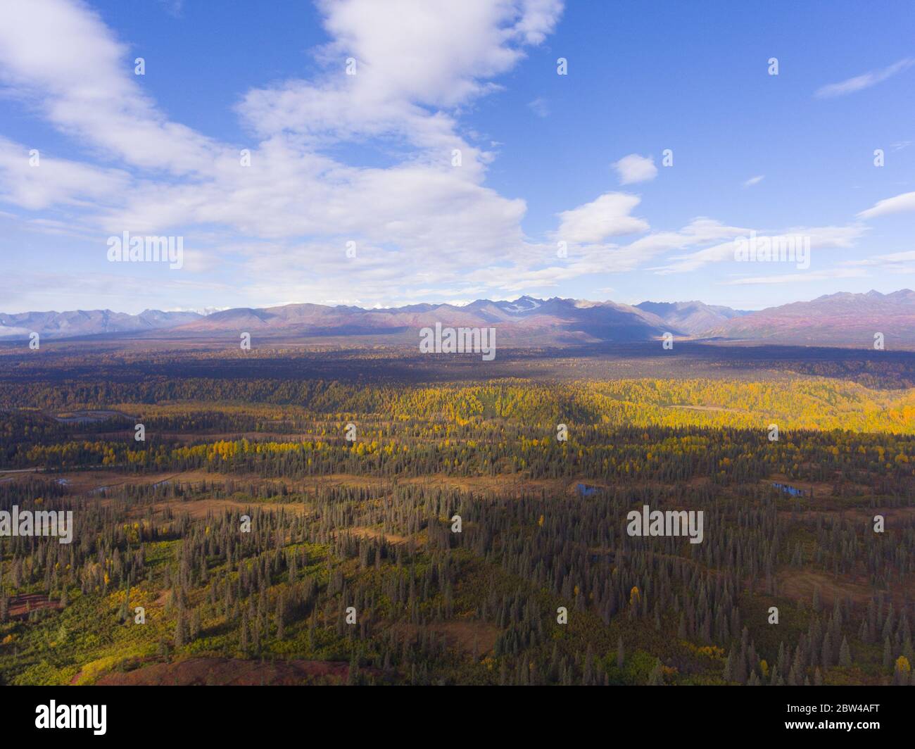 Denali und Alaska Range Berge Luftaufnahme über die Wolke im Herbst, in der Nähe Denali State Park, Alaska AK, USA. Stockfoto