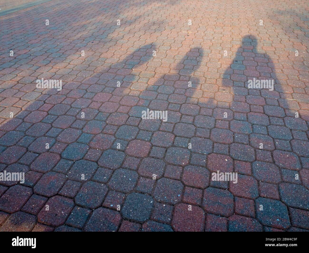 Schatten von 3 Personen, die am späten Sommernachmittag auf einer Bank sitzen Stockfoto