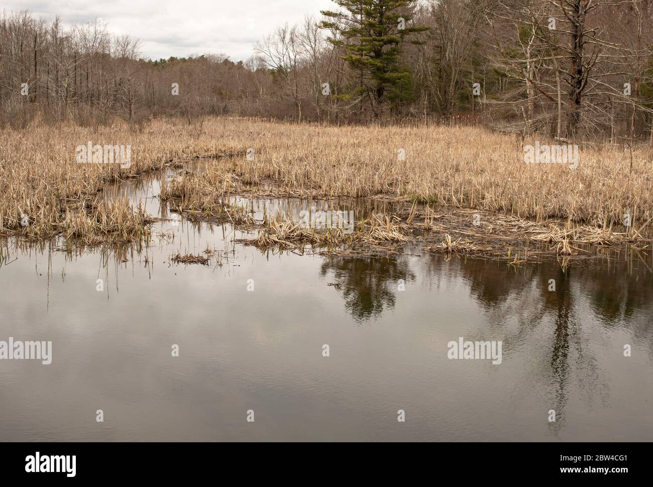 Dieser Wasserscheide erstreckt sich über eine Länge von ca. 23 Meilen. Diese Wasserscheide führt rund 82 Quadratmeilen in Essex County. Sie beginnt in Newburyport und fließt durch Stockfoto